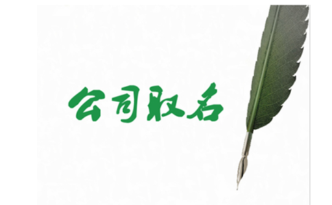 河南掌上名稱自主申報字號行業(yè)組織形式怎么填？